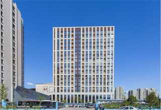 荔湾区半透明带表带牌子